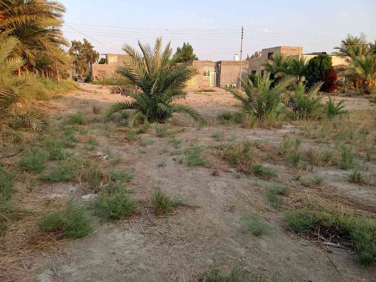 ارض مساحتها 1000متر صلح زراعي سند 35
"
📍واجه 40متر 🍁🍁
📍نزال  25متر 🍁🍁
ممكن📍 تنباع نص القطعه
📍الموقع بابل قضاء المحاويل /البدع الكبير 
 الرئيسي  سايدين حلة بغداد 150 متر ،
للاتصال ‏‪***********‬‏
