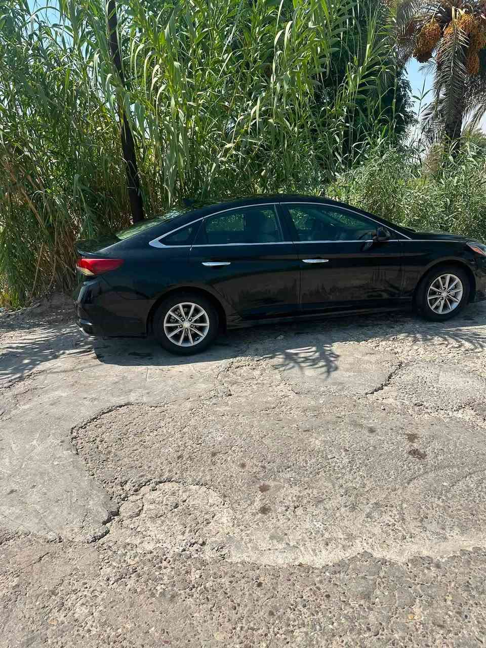 سوناتا 2018 ماشيه 100mi حقيقي
بابين جهة العبري مبدلات شركه بدون دواخل وبيها حالوب قليل بلقماره  سعرها ١١٣ بيها مجال بسيط 
***********
