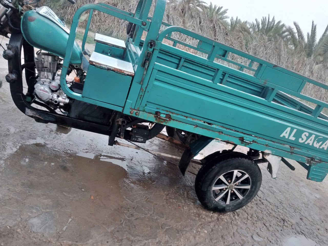من رخصت مدير الكروب ستوته 19اوراق أصولي صقر للبيع واحد و300 ***********
