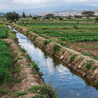 البخنفر • ٤٠ دونم • طابو زراعي