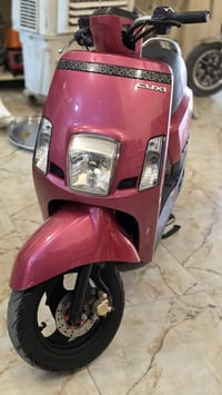 كوكسى • بوليس • وكاله