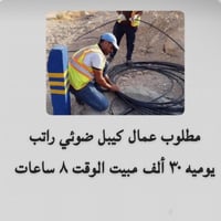 داخل دائرة حكومية • كيبل ضوئي • مبيت