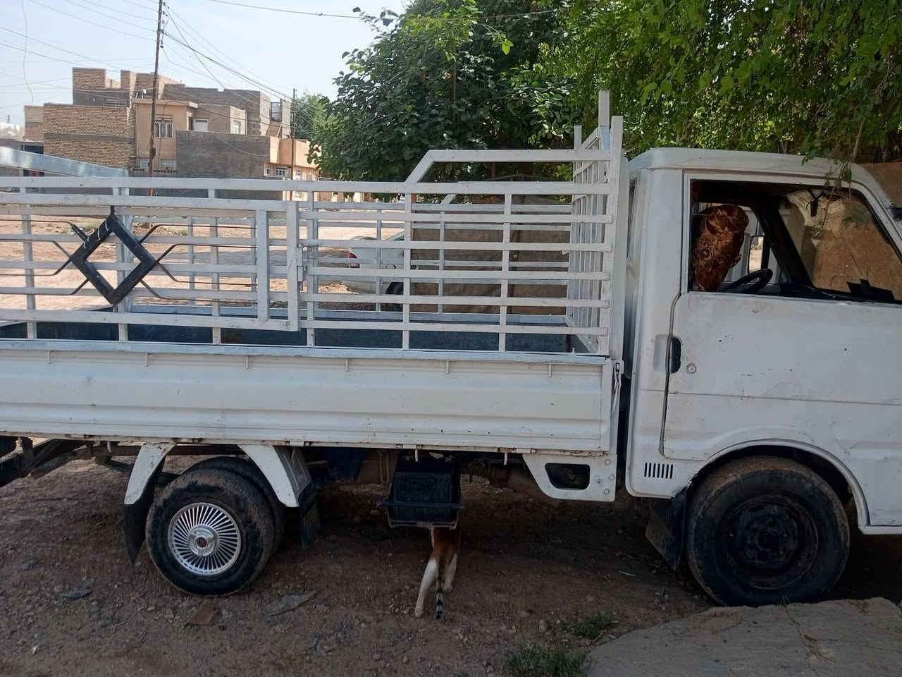 كيا بنكوا • موديل ٩٤ • الانبار