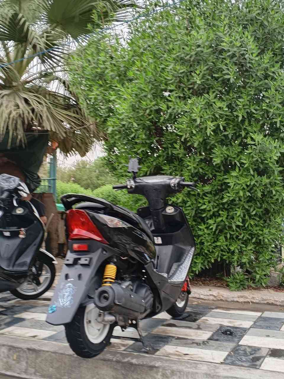 ثعلب • ختم واحد • كفرات اصلية