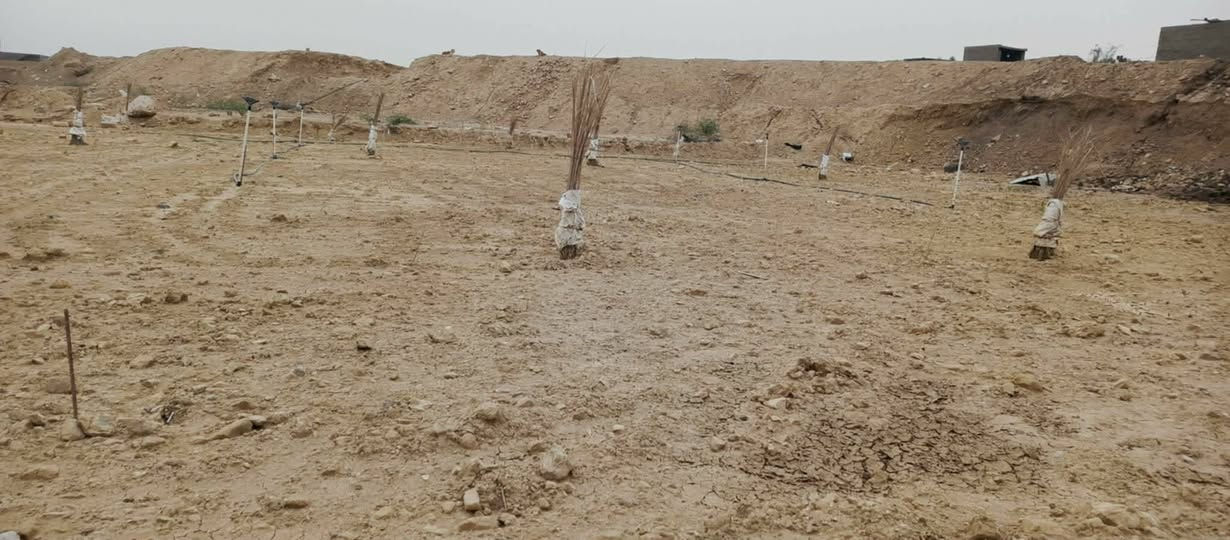 سلام علبكم
عندي قطعه ارض في حي البكر منطقة الريس قريب على مجمع جديد مساحتها 600/ الوجهيا 19ونص والنزال 31 للبيع السعر 16ونص وبيها مجال وترهم نص القطعه هم ابيعها  اكفلها من الاهالي والعشائر اي شي عليها اني اتحمل مسؤاليه ***********
