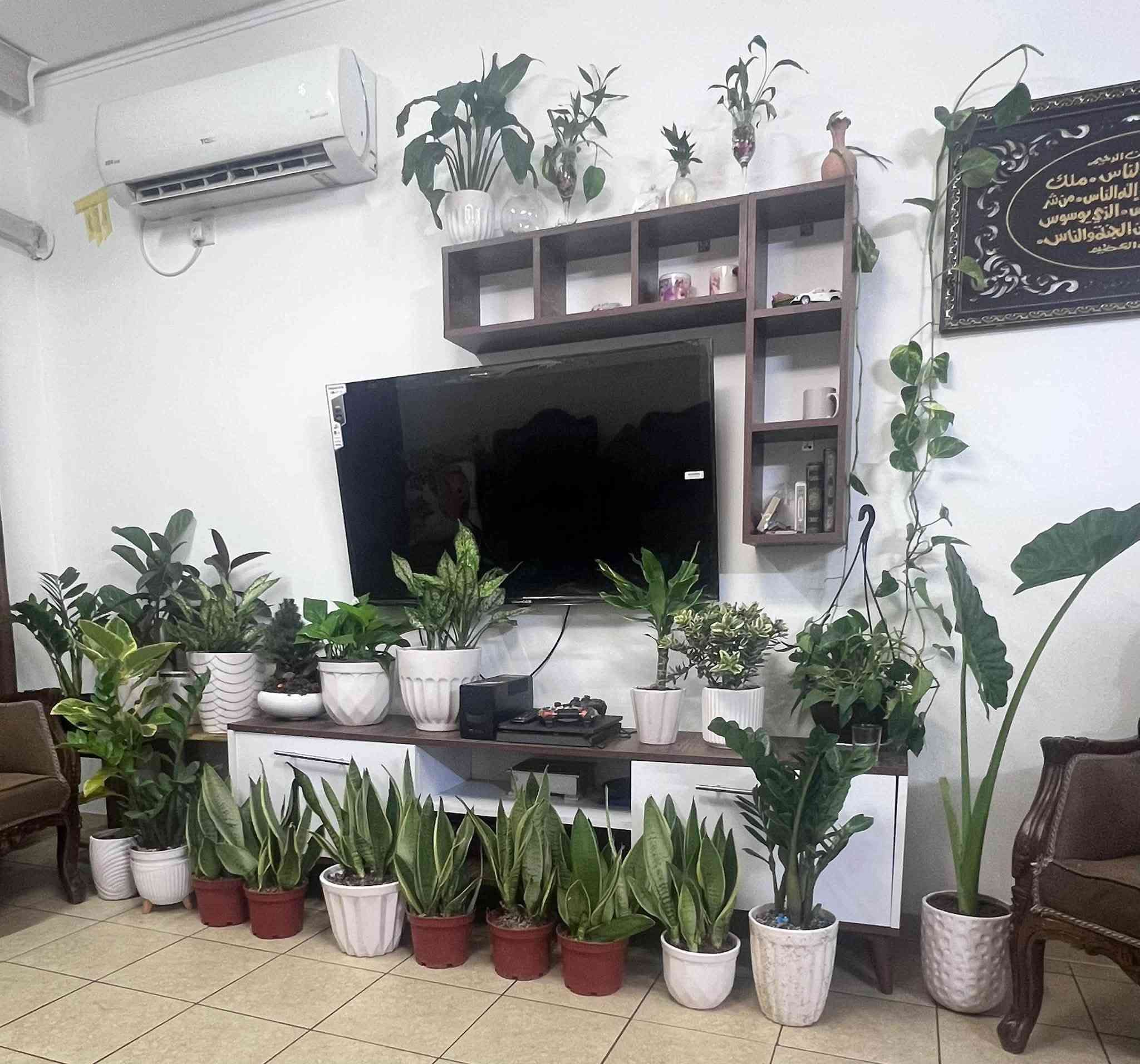 الاسعار خاص
