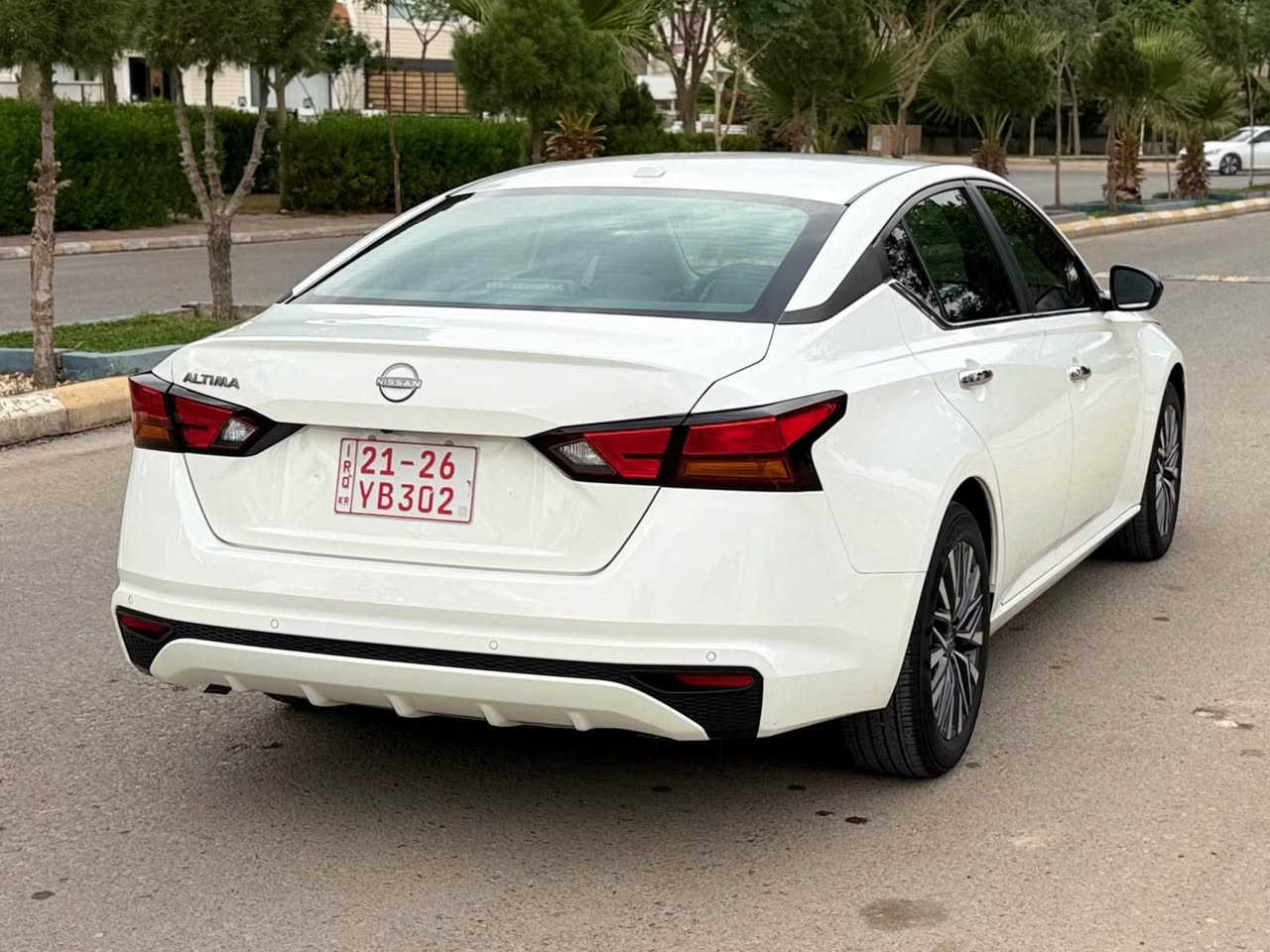 التيما • ٢٠٢٥ • بدون رقم