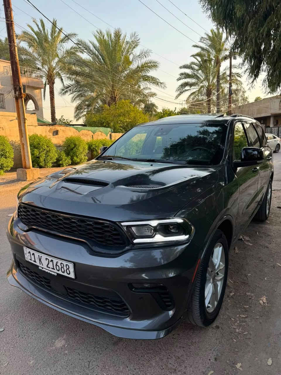 دوج دورنكو • ٢٠٢٤ • رقم بغداد