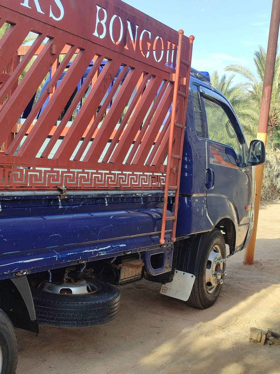 فحل • ٢٠٠٩ • رقم قادسيه