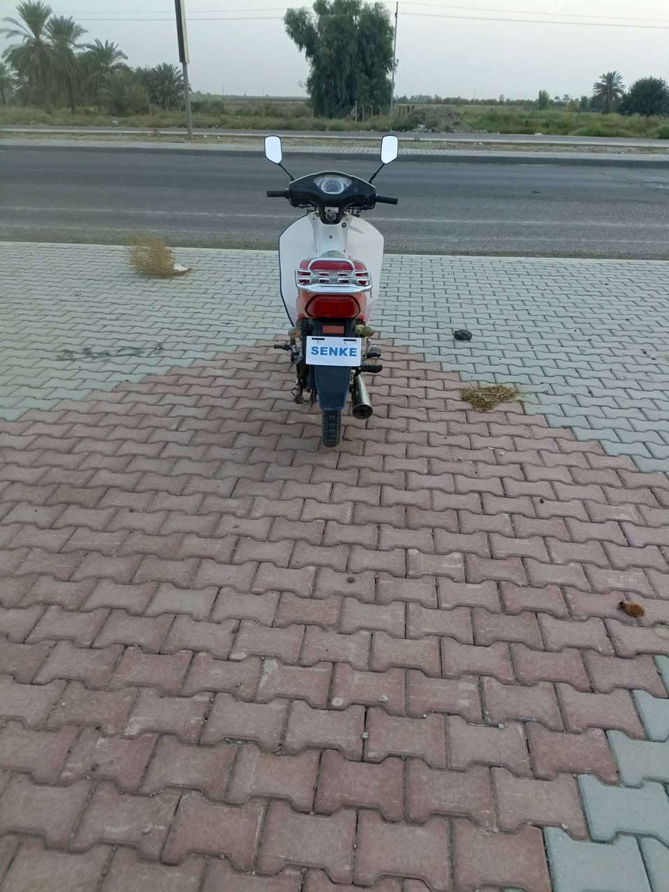 سرفيز