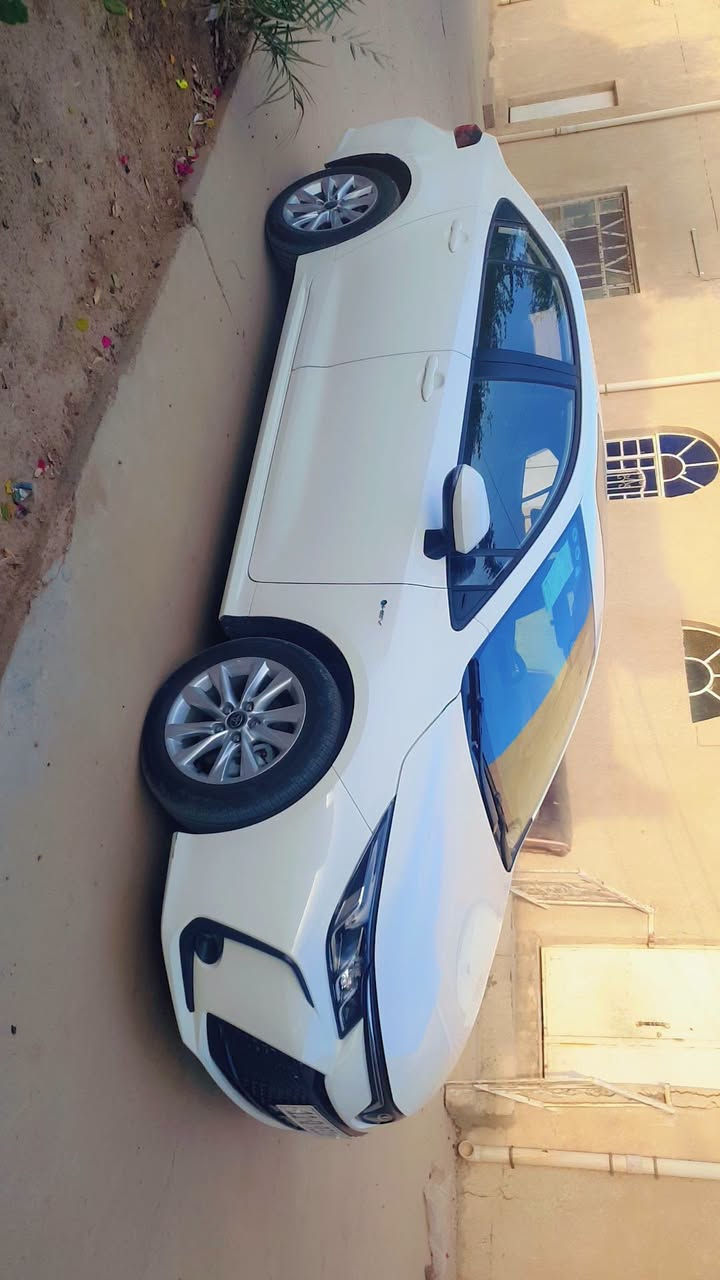 كورلا • ٢٠٢٥ • مرقم بغداد