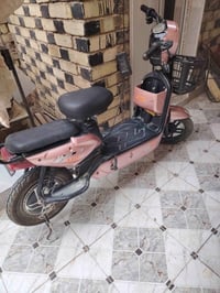 دراجة شحن • كوفة • جسر الإمام علي