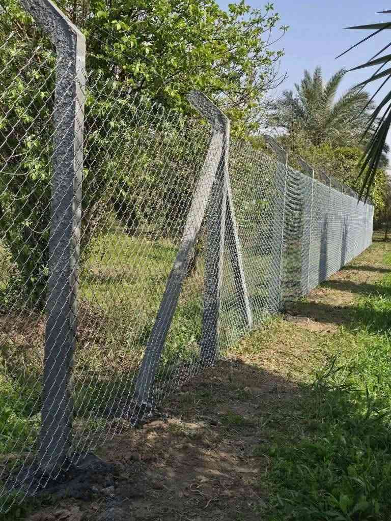 السلام عليكم 
معمل النور لعمل ونصب اسيجه BRC بيارسي بكافه الاحجام والقياسات بجوده عاليه وبأسعار مناسبه  لتسيج كافه المزارع والحدائق والبساتين وقطع الاراضي في جميع المحافظات الاستفسار خاص او الاتصال على الرقم ***********
