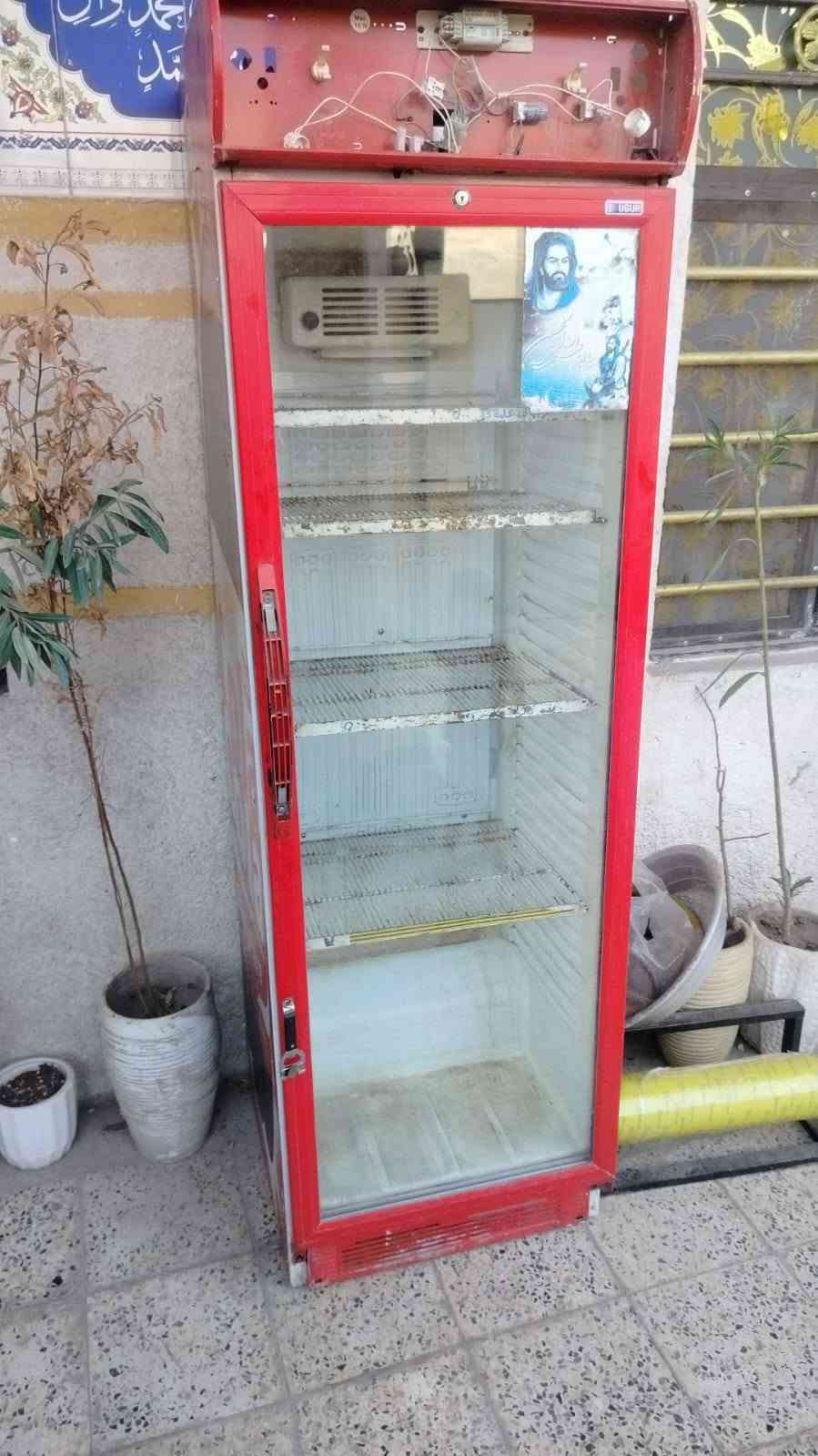 طباخ فلافل • معدات مطاعم • عارضه نضيفة