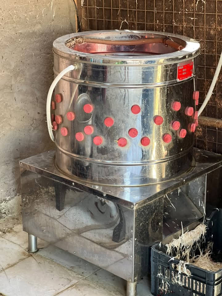 غراض محل دجاج للبيع هلاسه +سنك + ميزان +مذبح +مولده +مبرده 
الاستفسار عن طريق الاتصال ع رقم ***********

