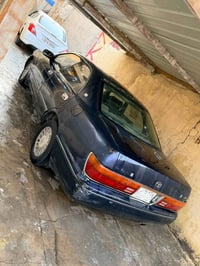 سياه نيلي • كفاله • بصره