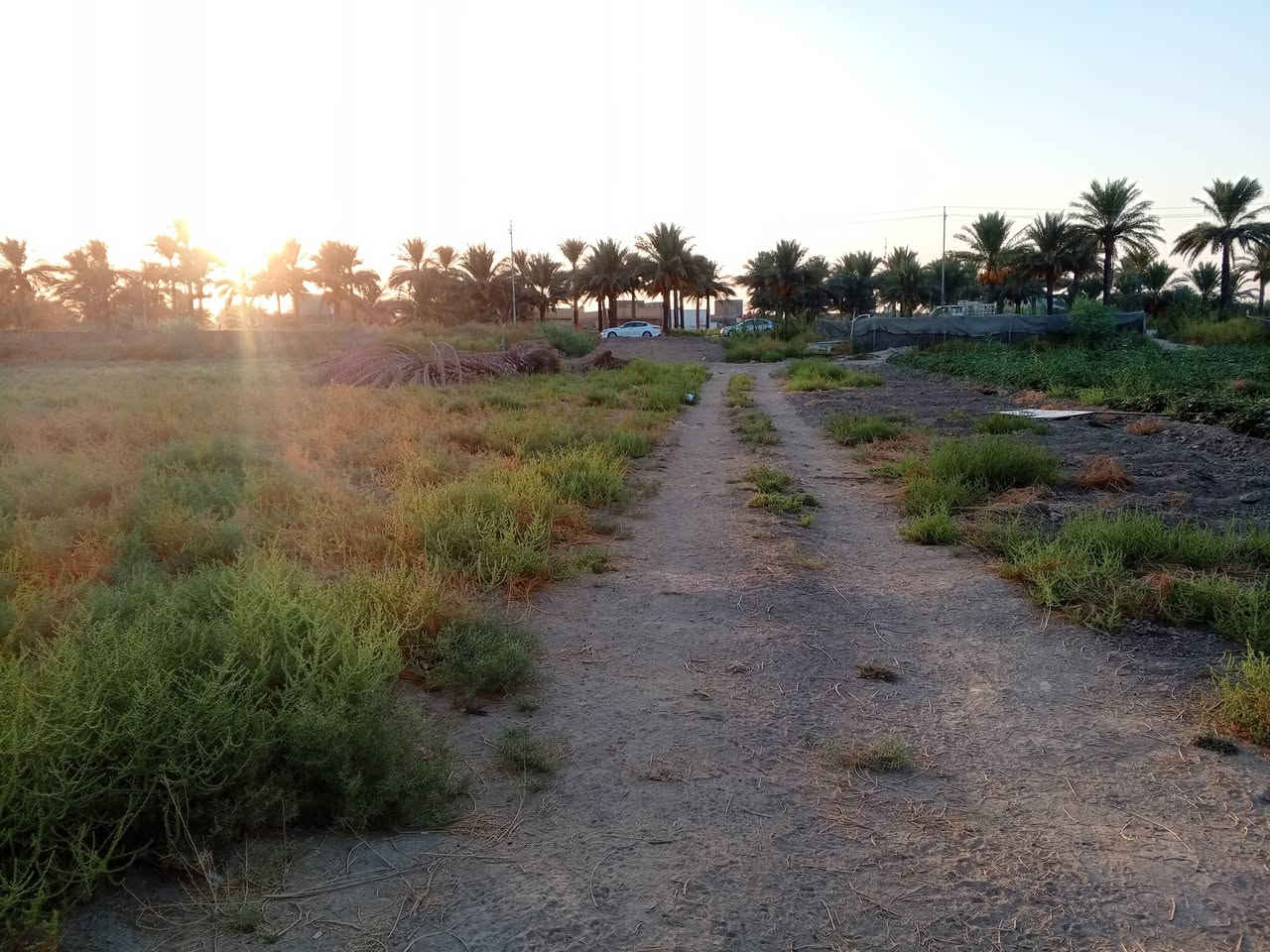 العلاك • ١٠٠٠م • طابو زراعي
