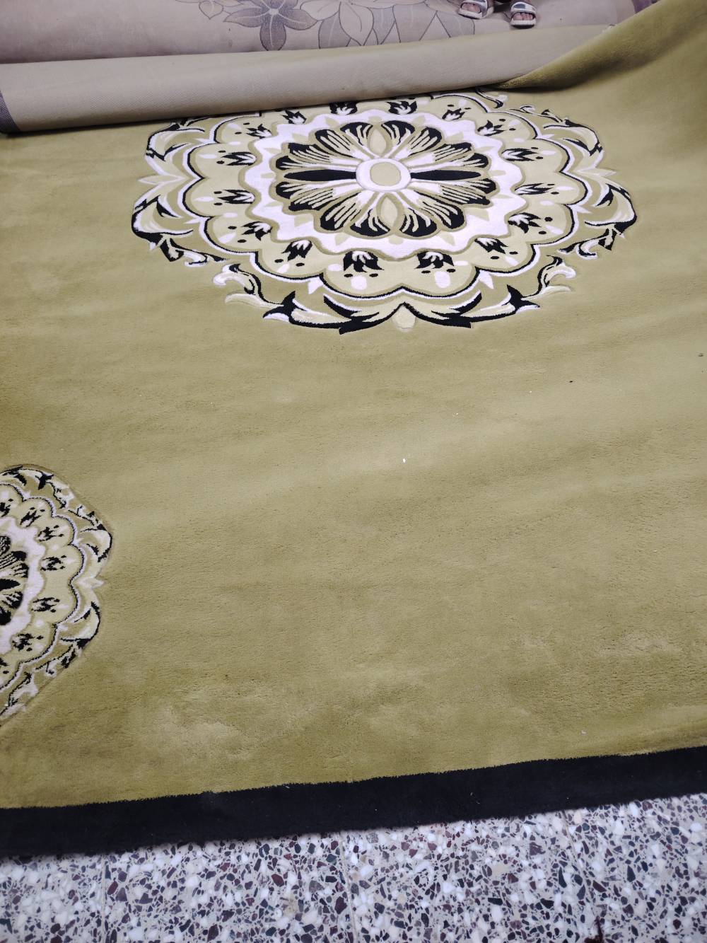 مجموعة سجاد • كلهن