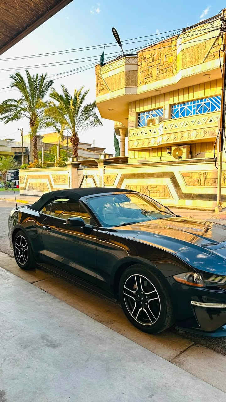 السلام عليكم
-فورد موستنگ  Ford Mustang  ✅
-موديل  2023  كشف قماش ✅
-محرك 2300 توربو Ecopost ✅
-رقم اربيل الدولي تحويل او وكالة ثاني يوم ✅
-حادث بنيد فقط فقط بدون دواخل وايرباك ✅
-ماشية 65.000 حقيقي  ✅
-سيارة جديدة بمعنى الكلمة ✅
مواصفات السيارة :
-كشف
-محرك 4 انظمة قيادة 
(نورمال - سبورت - تراك - ثلجي/رطب )
-الگير  10 سرعات (نمر)
-الاستيرن تدفئة تبريد + 3 انظمة قيادة 
( سبورت - نورمال - كومفرت )
-كشنات جلد كهرباء + تدفئة تبريد
-مانع انزلاق 
وباقي المواصفات تجون وتشوفوها السيارة نظيفة ومكفولة كفالة عامه 
السعر 175 وبيها مجال بسيط
العنوان بغداد البلديات 
للاستفسار ***********
صور الحادث بالمنشور
