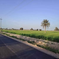 لبيع دونم زراعي (2,500 متر مربع) بشكل احترافي وجذاب للمشترين، يفضل تقس...