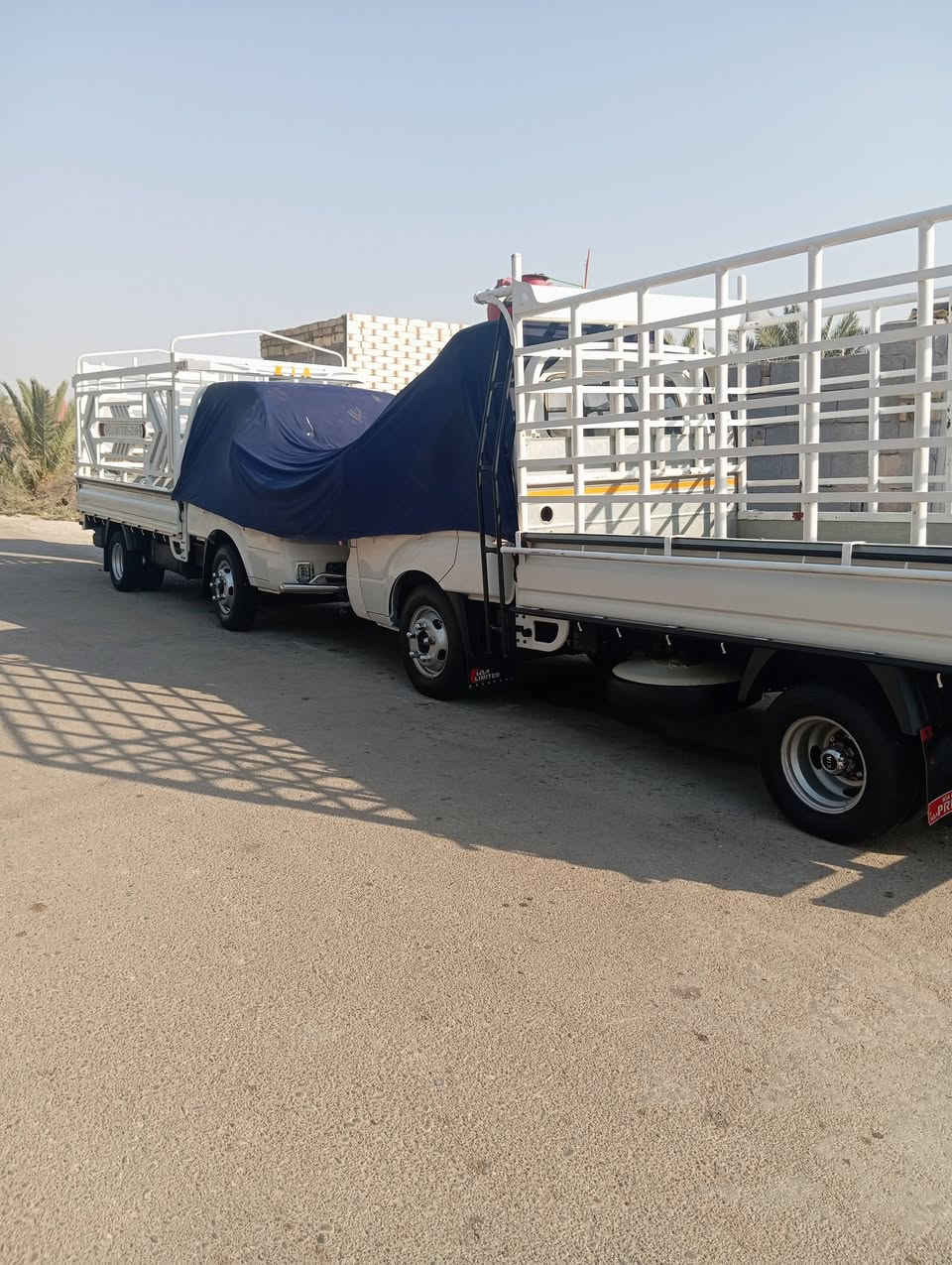 سلام عليكم كيه فحل للبيع موديل 21 كفاله عامه محجر بوري كاسحه تحويره 14 السعر 165مكان سياره ميسان ***********
