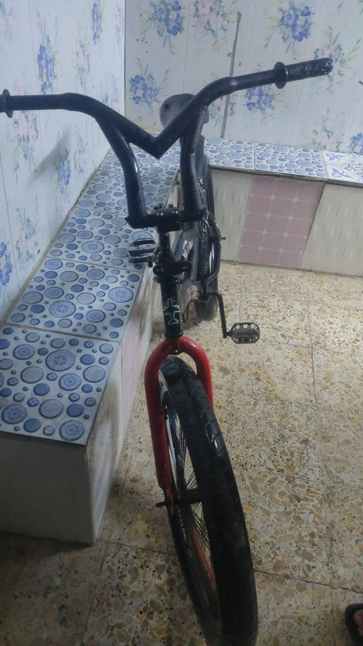 باسكل • حجم ٢٤ • كوبره مكسكي