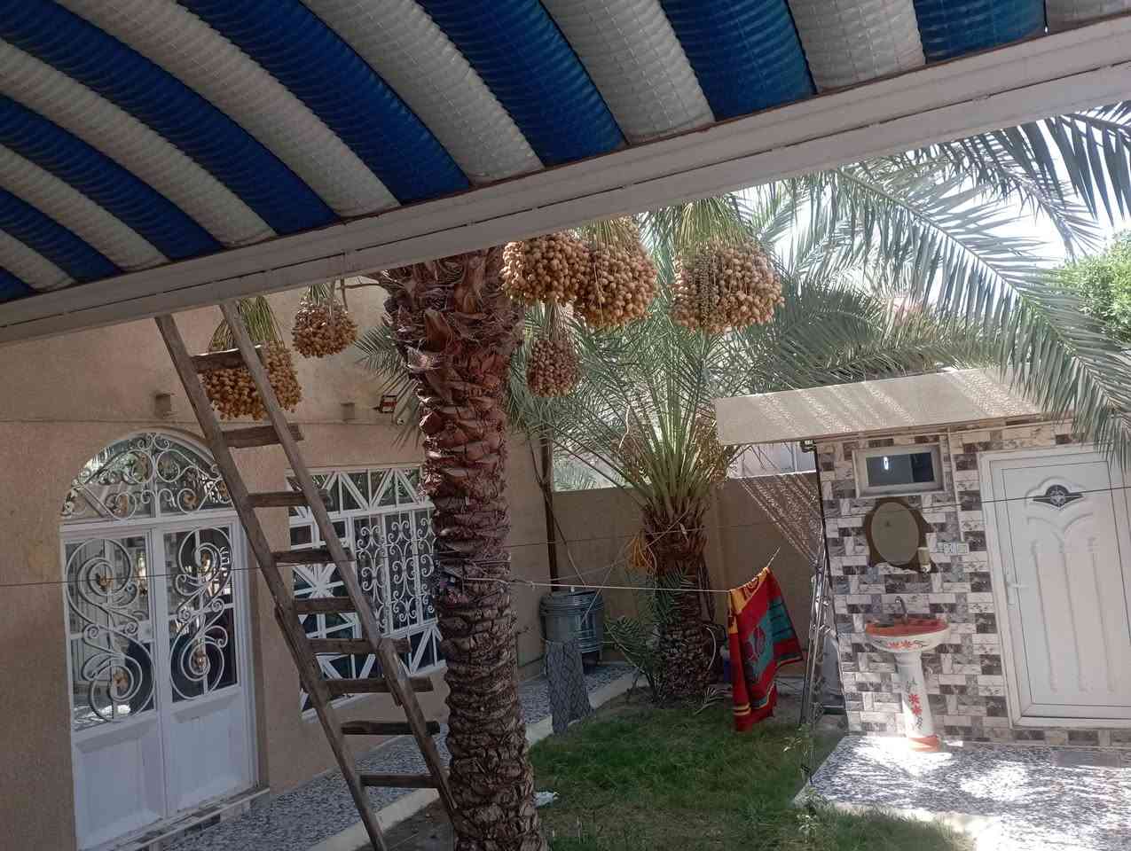 سلام عليكم بيت في حي الوفاء مساحه 200متر  على شارع 15م
ثالث بيت على شارع عشرين تجاري  يحتوي على غرفتين  (4×5) وصاله كبيره (4×8)  وحمامات دخليه وحمامات خارجيه
ومطبخ (4×4) واستقبال (4×6) بيت اعكاده نظيف جدآ  
اقرب نقطه داله على منزول شارع عشرين بانزين خانه سعر 275 وبي مجال 
الى استفسار والاتصال ***********
