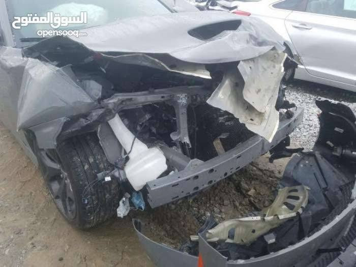 19 GT للبيع ومراوس حسب الرغبه بسمي رقم بغداد ***********

نص مكتوب في الصور:
- السوق المفتوح opensooq.com
- المنتوح opensooq.com