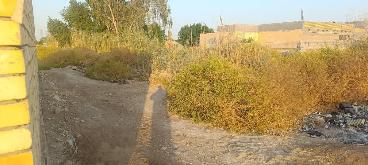 المثلث • قطعة أرض • ١٠٠م