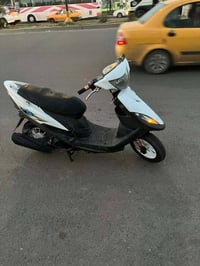 ماكس • شغاله • هندر مكسور