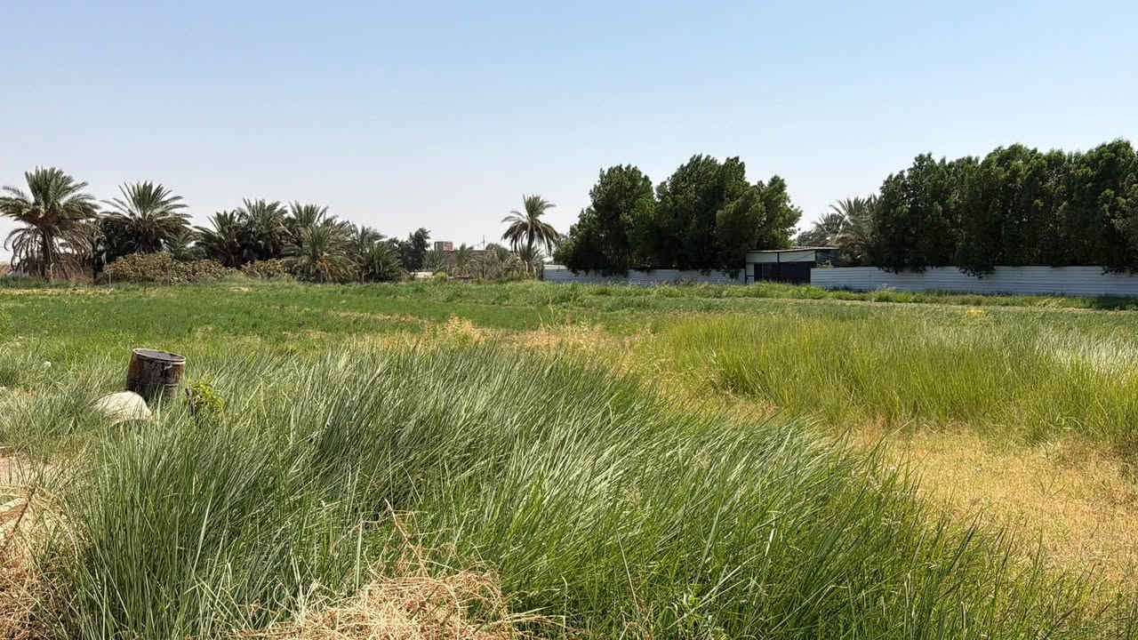 للبيع 4دونم مع بيت يتكون من ٣غرف نوم و٢صالات ومظيف ومطبخ حار وبارد وصحيات خارجيه وداخليه طابوزراعي سند ٢٥ على طريق السنيه جيهت الزوار تنزل تبليط ٣٠٠ متر عن التبليط ٦٠ متر بناء جديد صارله شهر من كمل شغل درجه أوله الها مضخه خاصه من الشط الديوانيه للستفسار تعال خاص اواتصل على الرقام ***********
***********@إشارة
