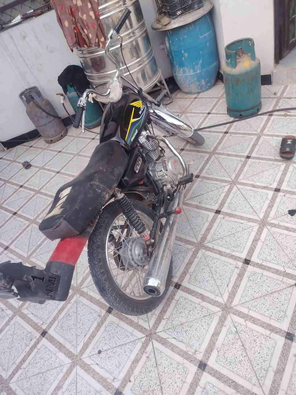 رابيدو • رياضي • بدون أوراق