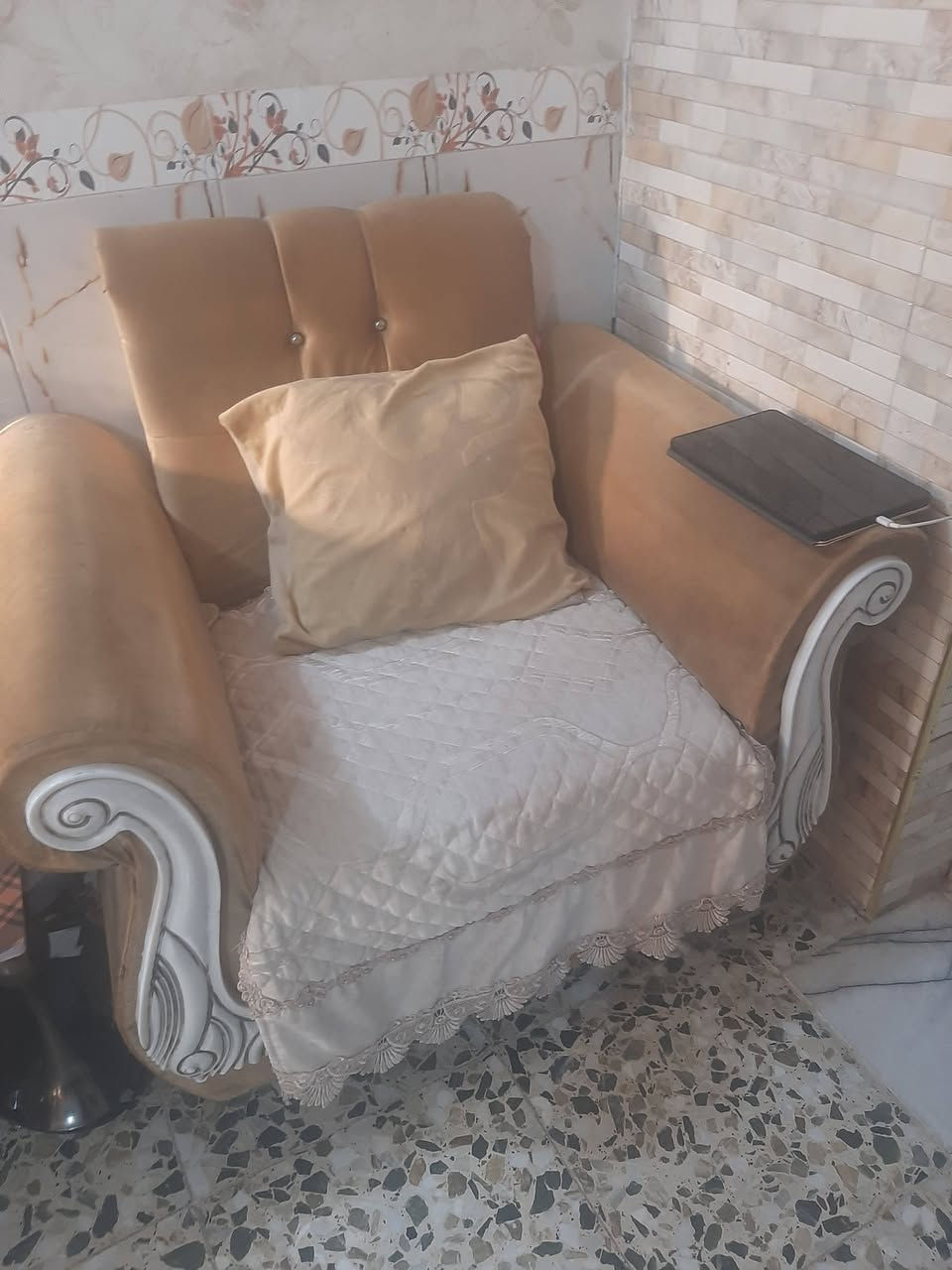 السلام عليكم تخم ربع عمر الي يحتاجه يجي ياخذه مجانا عنواني بغداد المشتل المعلمين ***********
