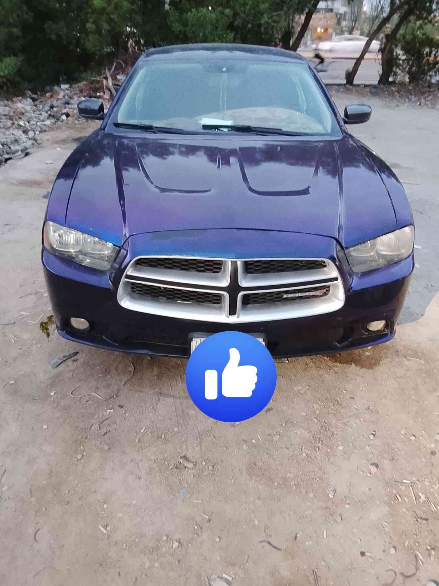 جارجر • ٢٠١٣ • رقم بصره