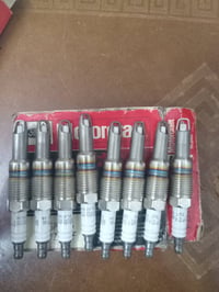 تخم بلك للبيع السعر ٤٠ الف 07712157542