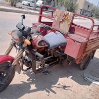 ستوته • كلك • ٢٠١٣