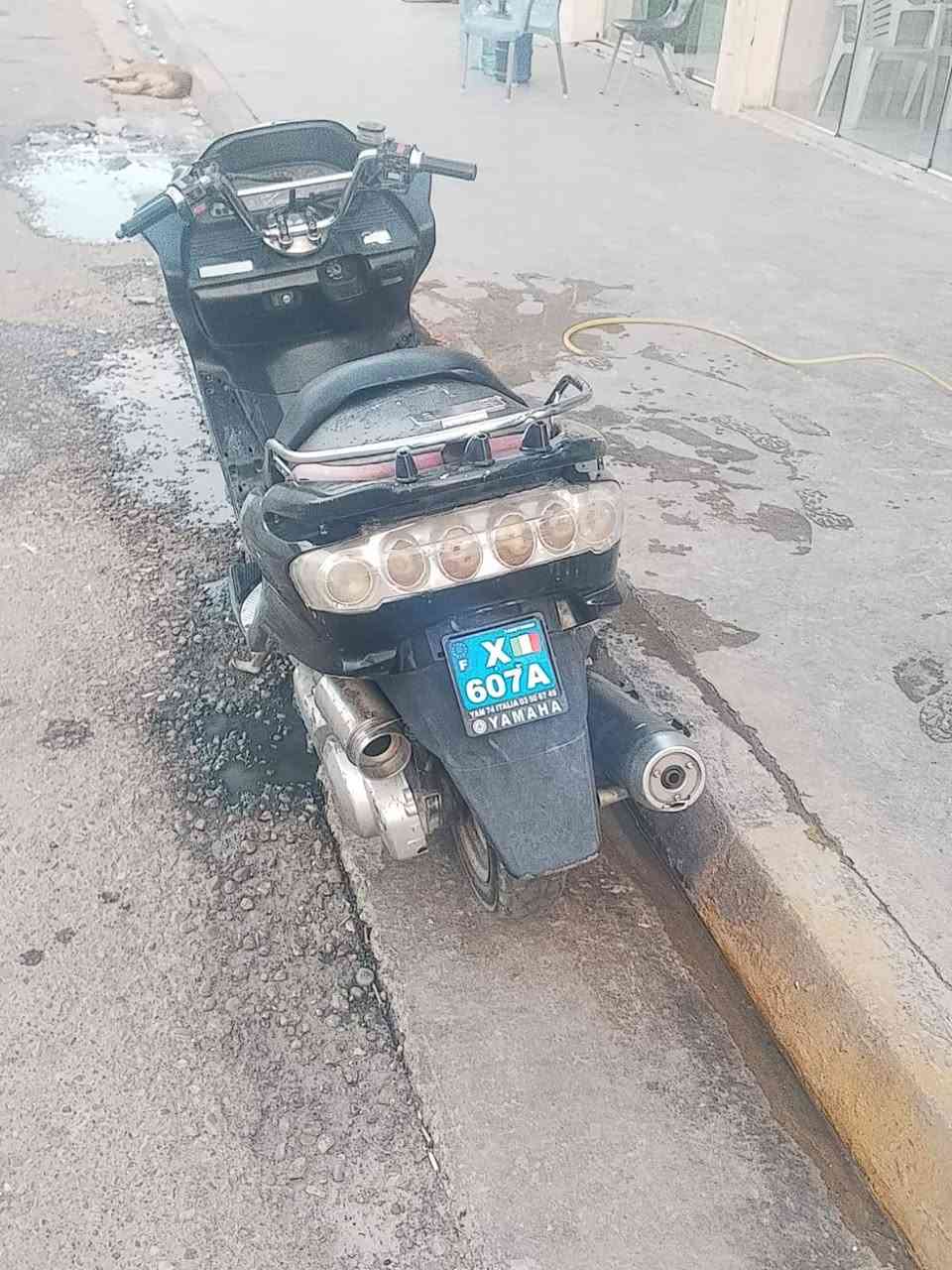 ماجستا • عليها غراض • نقصها الترايش