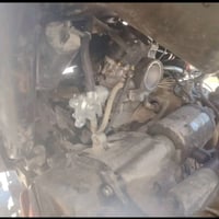سكنس جبلي • كابريتر • طافيه
