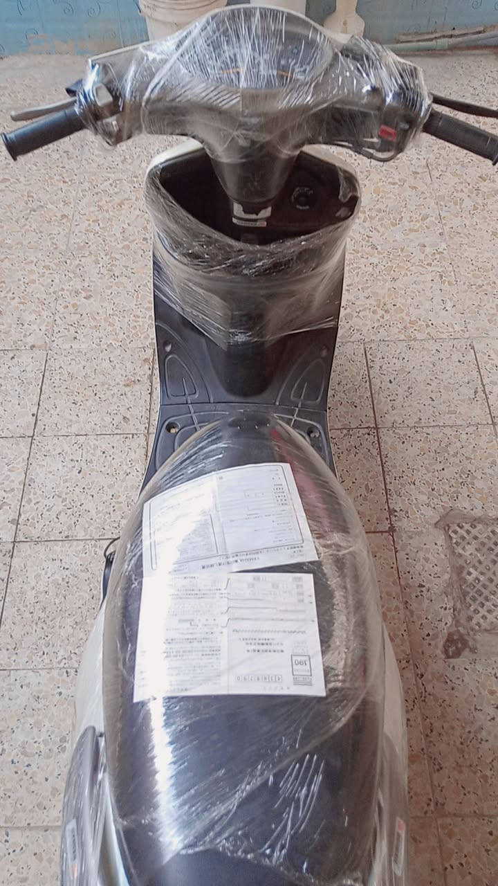 اكزز فحل • ابيض لؤلؤي • كفاله عامه