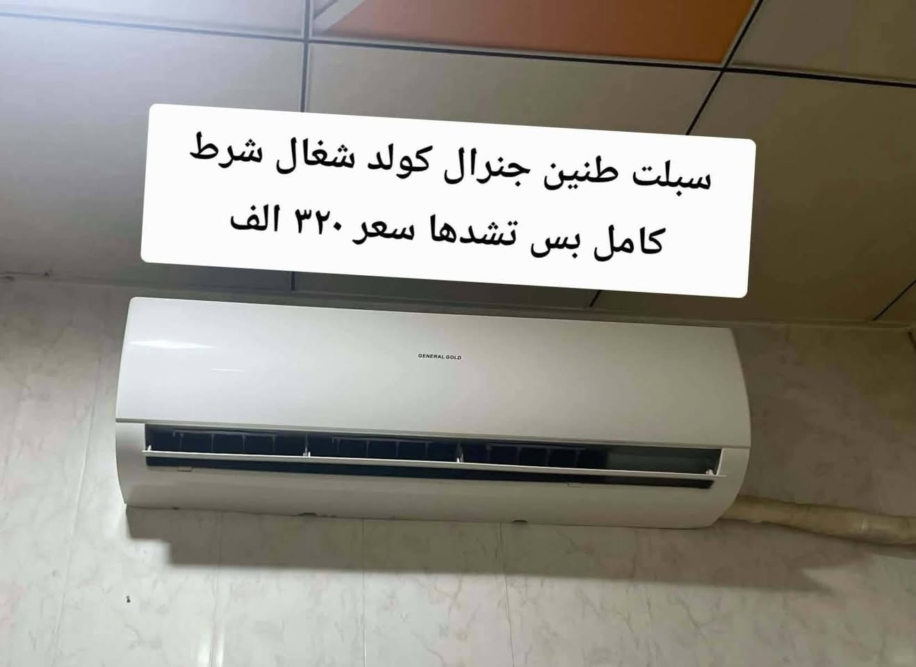 شغال • جوسنك • جنرال كولد