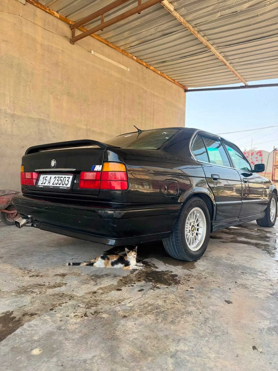 بي ام 525
موديلها 1994
 مسكر فانوص شرط 
كير اوتو شرط 
داخلها جديد جلد 
تبريد ثلج شرط
جام كله كهرباء 
السياره خير من الله صبغ عام وصبغتها حلوه بدون حادث 
 السعر ٥٥ وبيها مجال الشراي ***********
