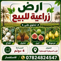 أرض زراعية • تفاح نخيل تين • ٤ دونم