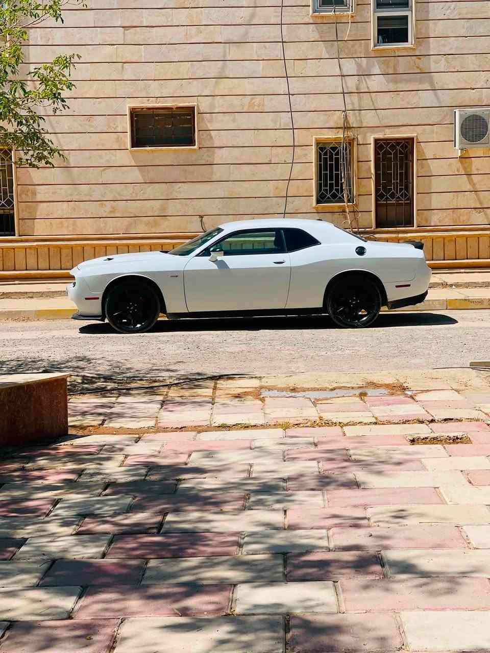 سلام عليكم
دوج جالنجر  SXT لون ابيض 
بيها بارد بحافة البنيد بدون ايرباك بشرط ادامة كامله منضومة بانزين واطارات جديده صدر امامي خلفي جديد ترايها زيرو  السياره تعتبر كلين 
وبالحقيقة احلى بعد من الصور 

موديل 2018

ماشي 80 ميل 

محرك 3,600   

كير محرك تبريد كلها شرط

تخم تايرات جديد قبل شهر شدتيها 

سنويه بأسمي تحويل ثاني يوم رقم سليمانية
السعر 175 

مكان سياره تكريت 
***********

