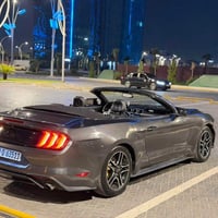موستانج ٢٠١٩ • فول بريميوم • بدون ارباگ
