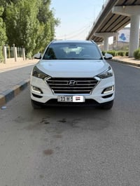 ٢٠١٩ • رقم بغداد • ابل كاربلاي