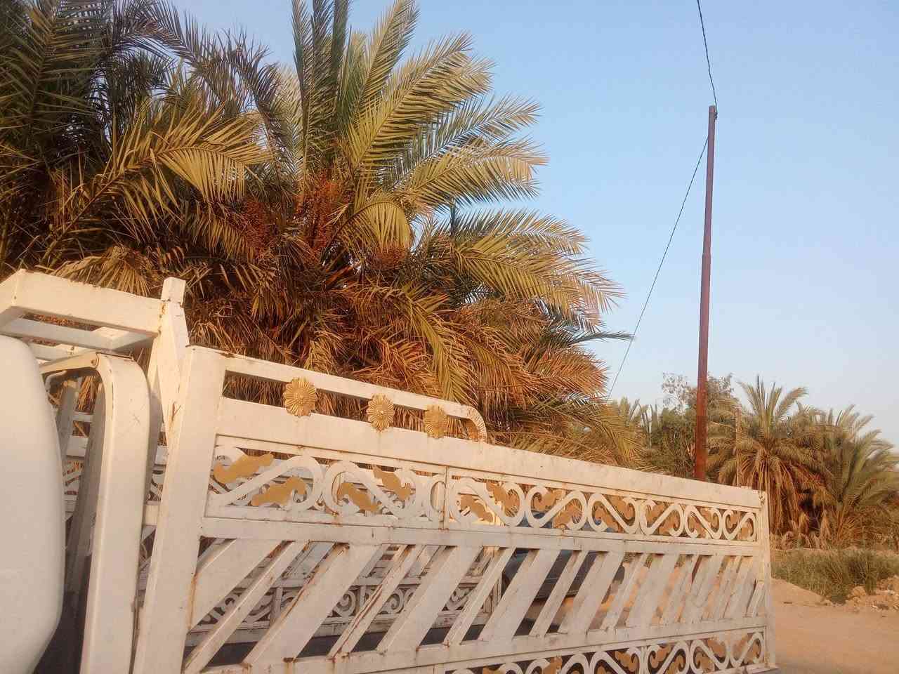 سلام عليكم اخوان محجر تسكام نضيف للبيع ***********مكان ديوانيه قضاء سومر
