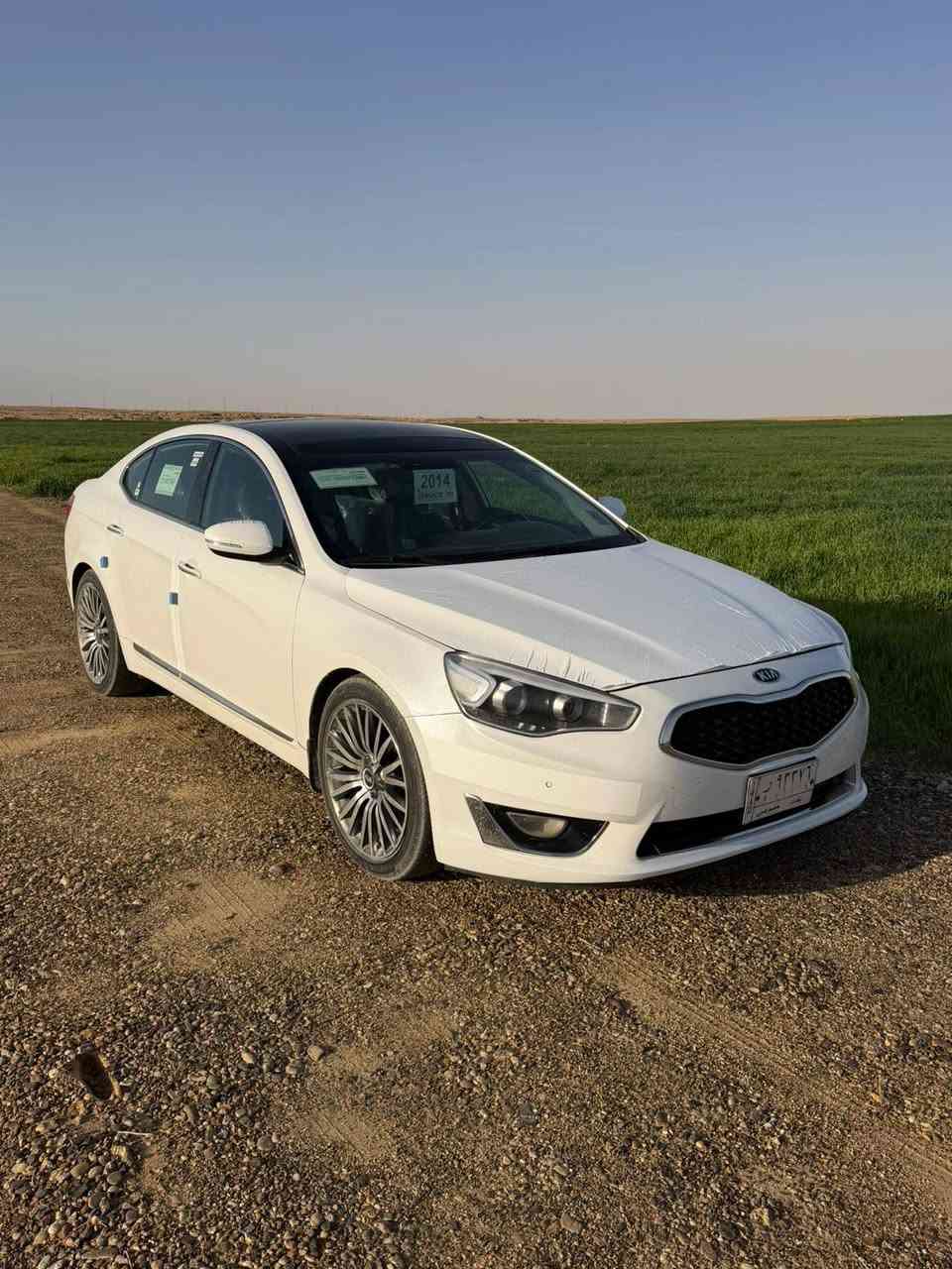 كادنزا • ٢٠١٤ • هيت