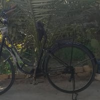 بسكليت • نضيف • ٢٠١١