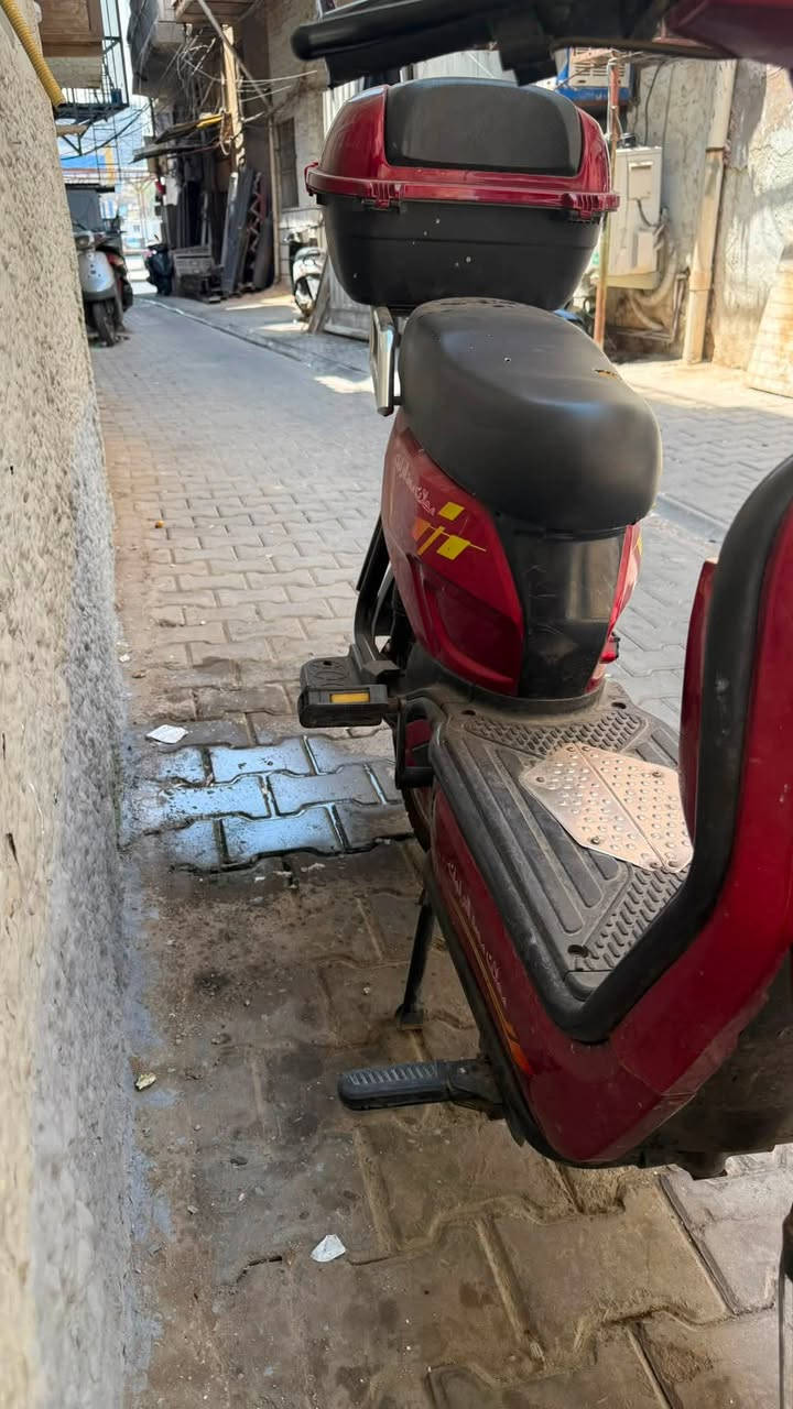 دراجه شحن للبيع نضيفه كلشي شغال بيها من لايتات وهورن والبصمه مالته موجوده بس بيها الصندوق مالته بي ضربه خفيفه 
والبطاريات ممبدله تجي تفحصه كدام عينك
السعر 400 وبيها مجال يناسب الشراي

العنوان الكاظميه

للتواصل عبر رقم الهاتف 
*********** واتساب
*********** رصيد
