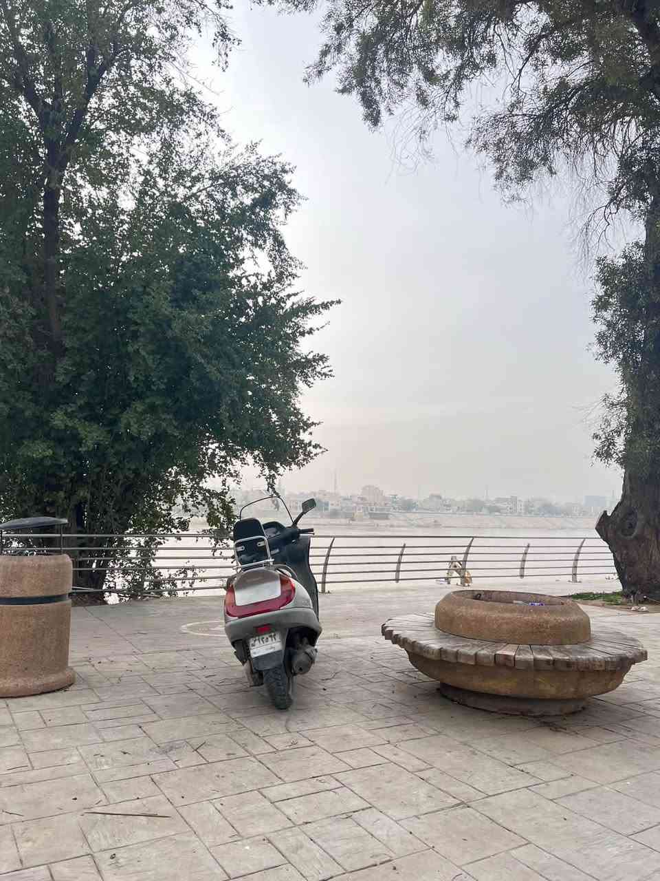 فورسايت • بلدية ممفتوح • ملاحظات بسيطة